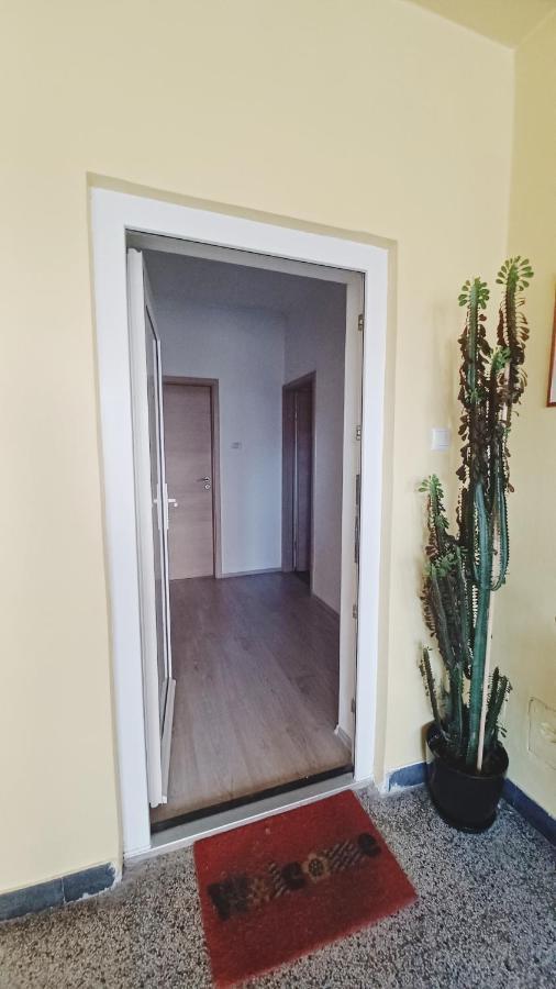 Apartman Dora Pula Exterior photo